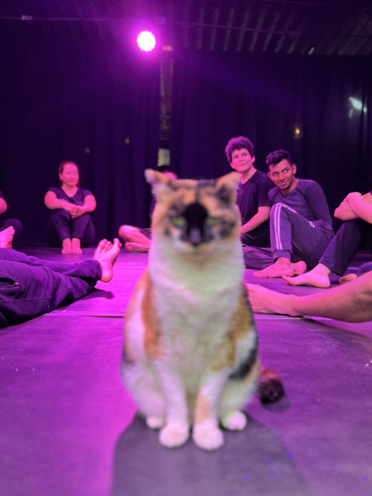 Taller de teatro en la sala Casaparte